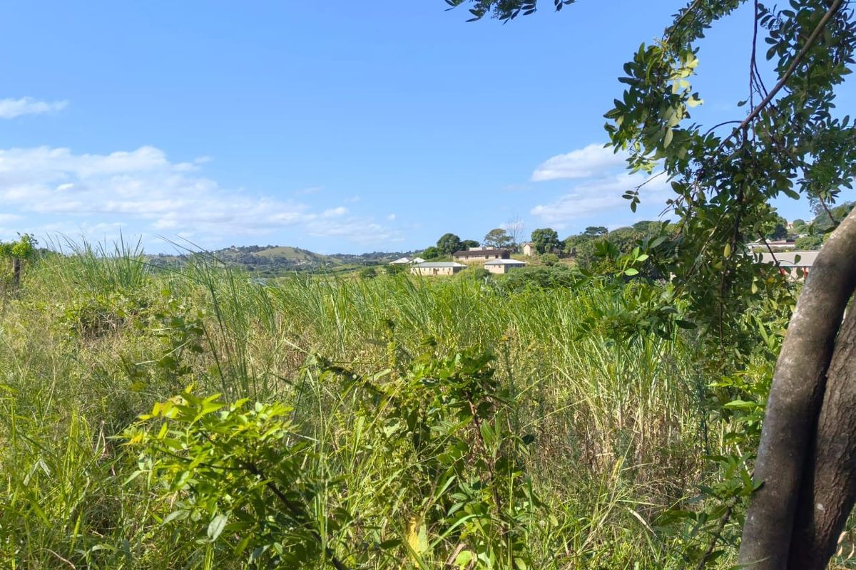 0 Bed Vacant Land in Ongoye, Empangeni Rural for Sale - Photo 2