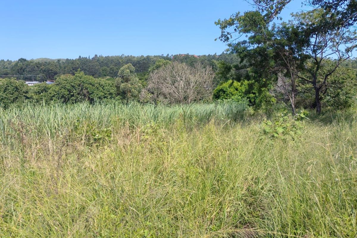 0 Bed Vacant Land in Ongoye, Empangeni Rural for Sale - Photo 3