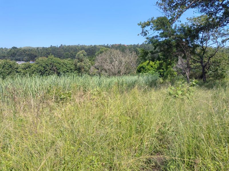 0 Bed Vacant Land in Ongoye, Empangeni Rural for Sale - Photo 3