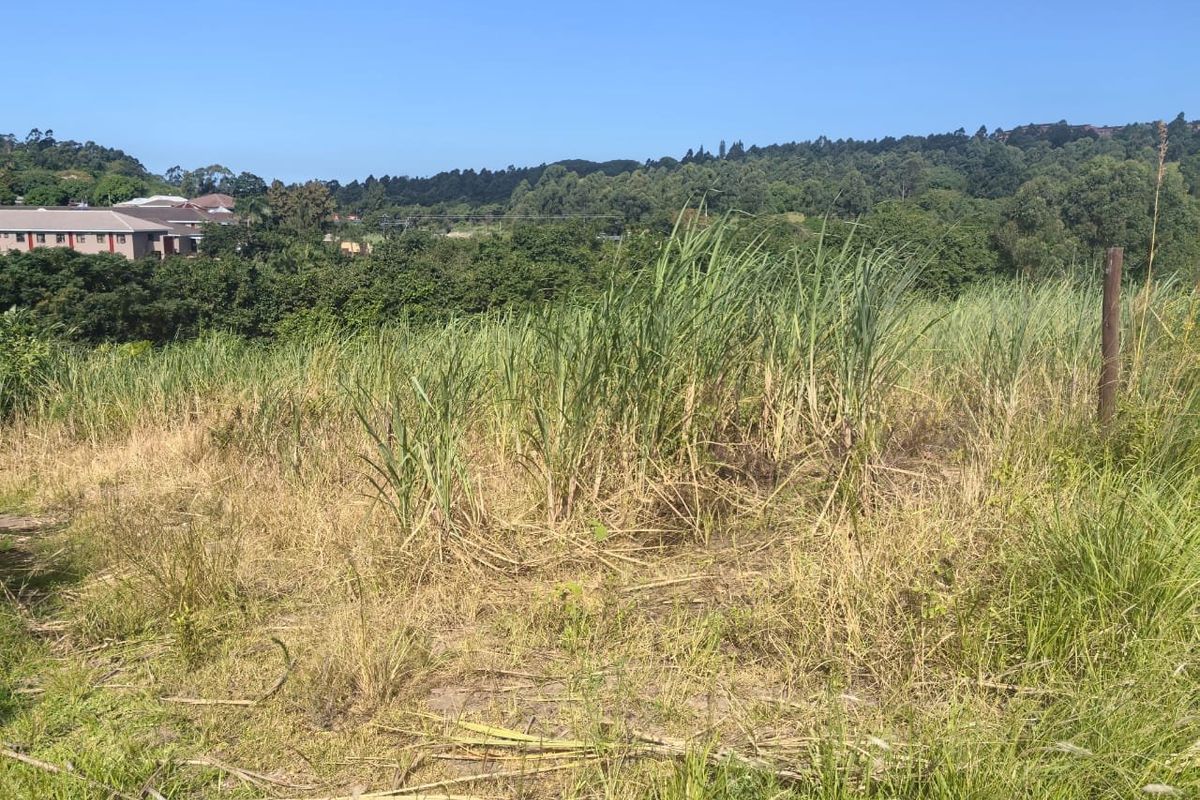 0 Bed Vacant Land in Ongoye, Empangeni Rural for Sale - Photo 5