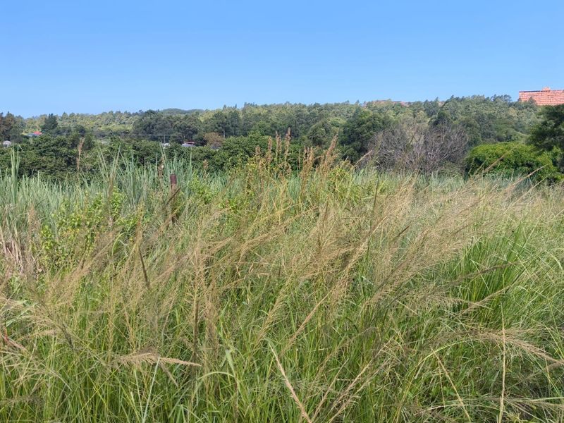 0 Bed Vacant Land in Ongoye, Empangeni Rural for Sale - Photo 9