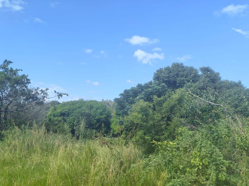 0 Bed Vacant Land in Ongoye, Empangeni Rural for Sale - Photo 8