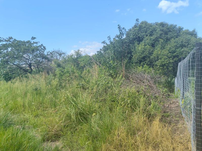 0 Bed Vacant Land in Ongoye, Empangeni Rural for Sale - Photo 7