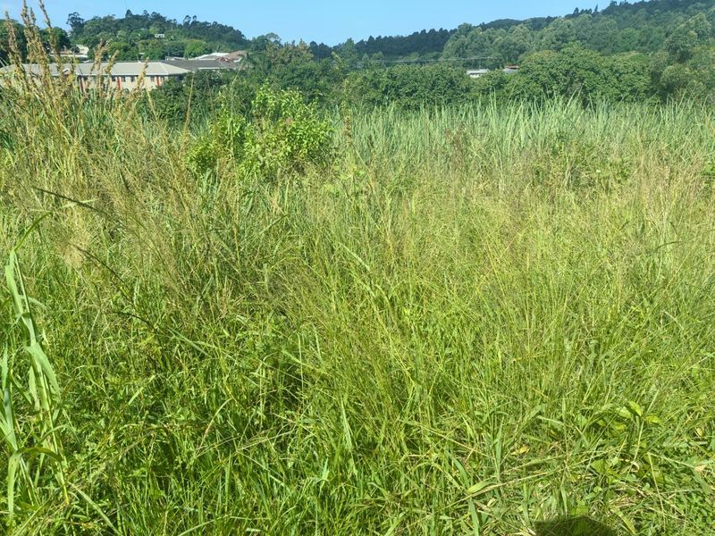 0 Bed Vacant Land in Ongoye, Empangeni Rural for Sale - Photo 6