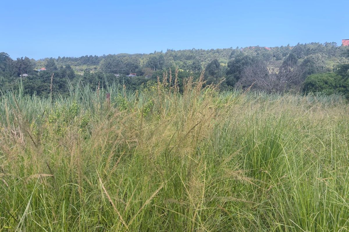 0 Bed Vacant Land in Ongoye, Empangeni Rural for Sale - Photo 4