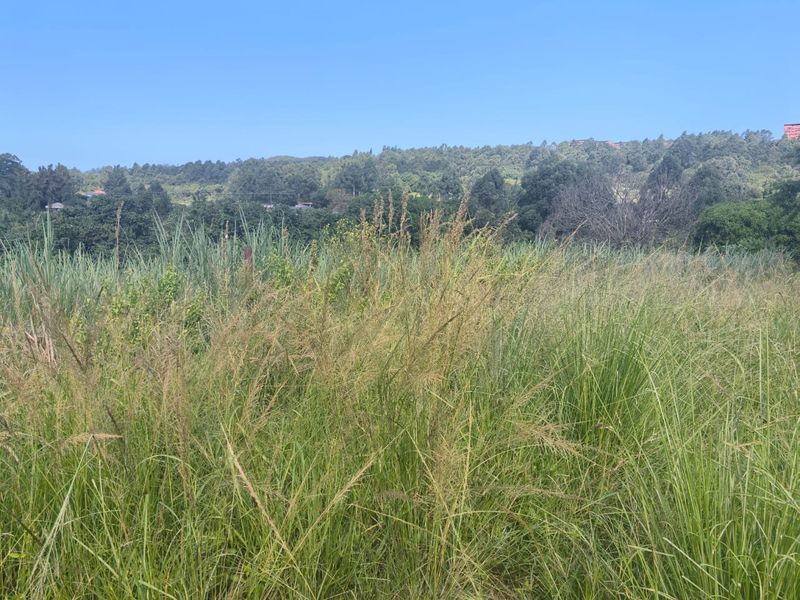 0 Bed Vacant Land in Ongoye, Empangeni Rural for Sale - Photo 4