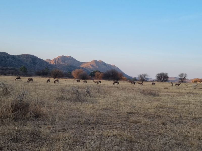 A hidden gem with scenic views of the Vaal River. - Photo 10