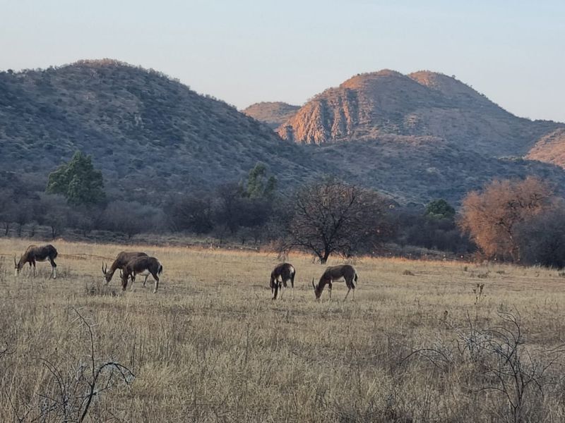 A hidden gem with scenic views of the Vaal River. - Photo 7