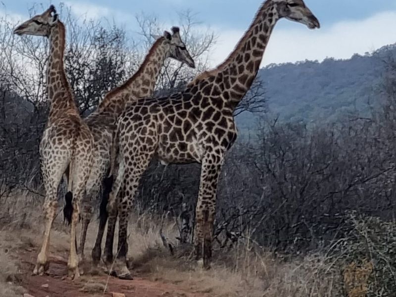 A hidden gem with scenic views of the Vaal River. - Photo 9