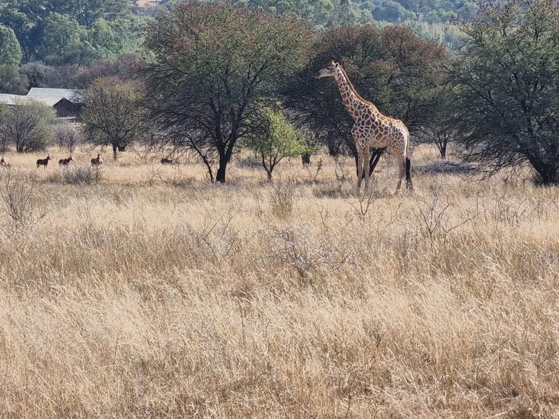 A hidden gem with scenic views of the Vaal River. - Photo 8