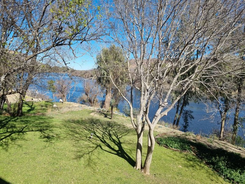 A hidden gem with scenic views of the Vaal River. - Photo 6