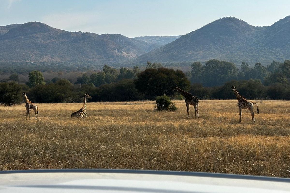 A hidden gem with scenic views of the Vaal River. - Photo 2