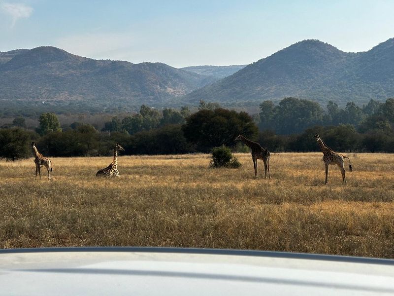 A hidden gem with scenic views of the Vaal River. - Photo 2