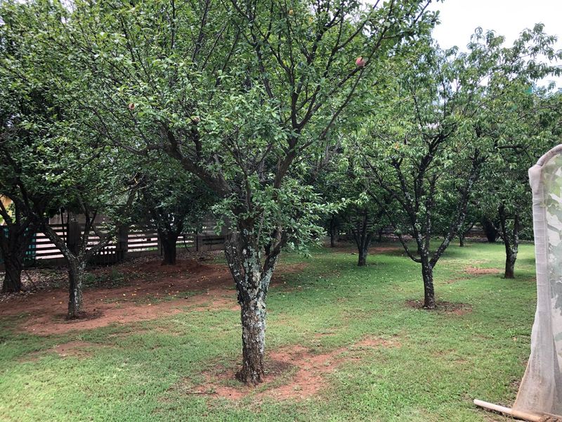 4 Bedrom House Plus 3 Flats In A Peaceful And Tranquil Setting - Photo 7