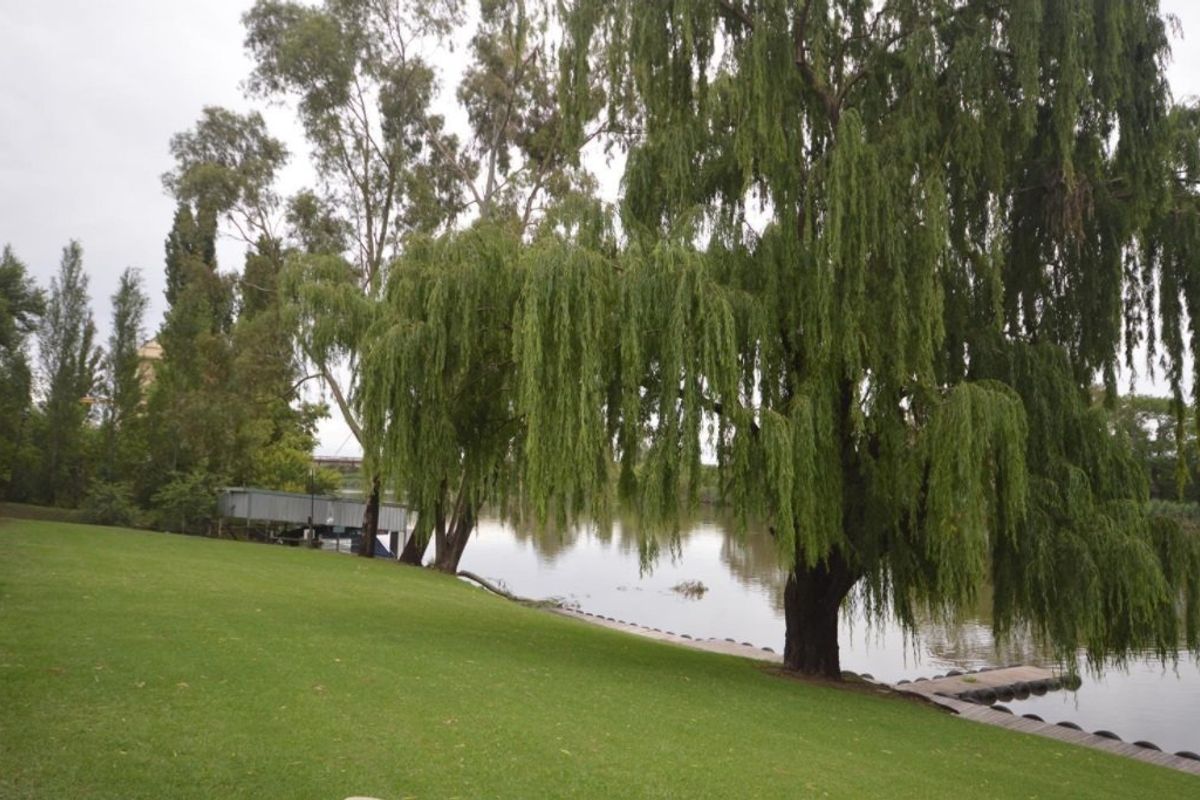 New on the market!  Vacant land in Riverspray Lifestyle Estate - Photo 2