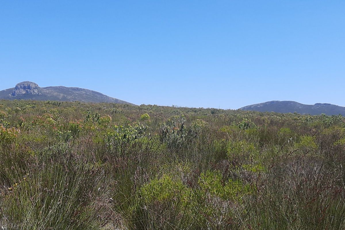 Secure Farm Living Near the Coast, Modern 2-Bedroom Home to Rent | Albertinia / Snipfontein - Photo 5