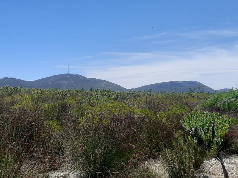 Secure Farm Living Near the Coast, Modern 2-Bedroom Home to Rent | Albertinia / Snipfontein - Photo 4