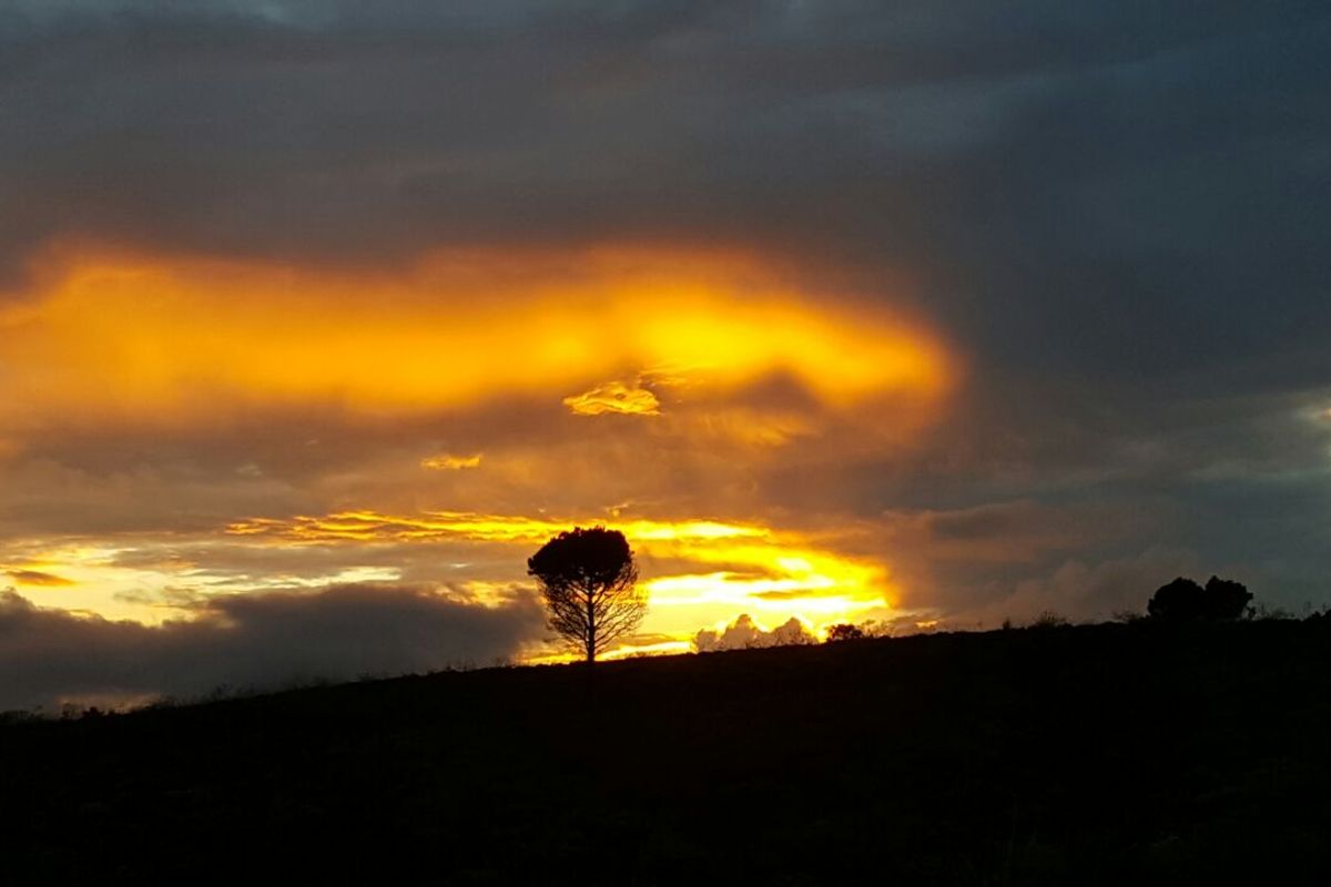 Secure Farm Living Near the Coast, Modern 2-Bedroom Home to Rent | Albertinia / Snipfontein - Photo 3