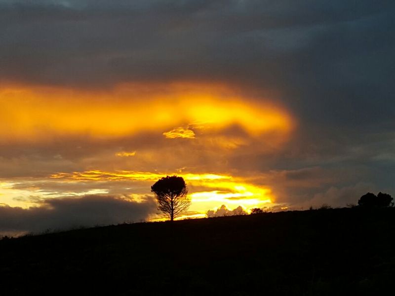 Secure Farm Living Near the Coast, Modern 2-Bedroom Home to Rent | Albertinia / Snipfontein - Photo 3