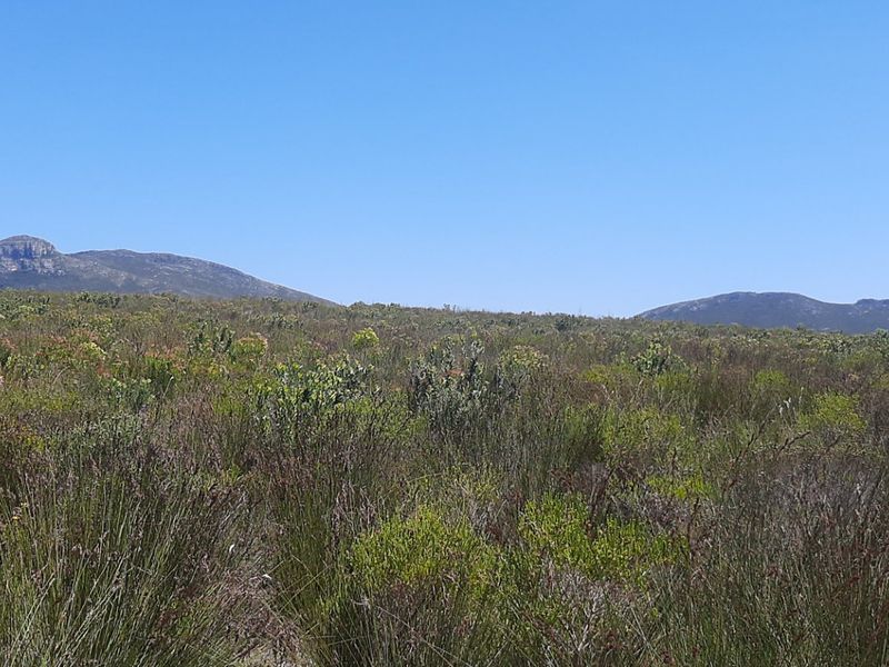 Secure Farm Living Near the Coast, Modern 2-Bedroom Home to Rent | Albertinia / Snipfontein - Photo 7