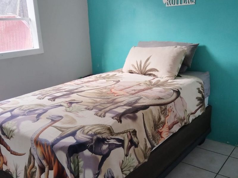 3 BEDROOM HOUSE FOR SALE IN BUFFALO FLATS EXT - Photo 8