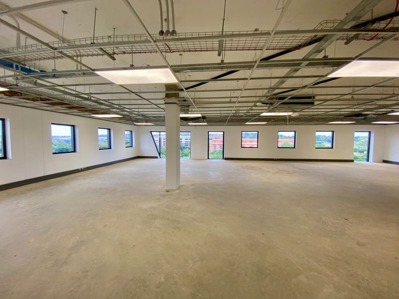 Brand New P-Grade Development - Photo 10