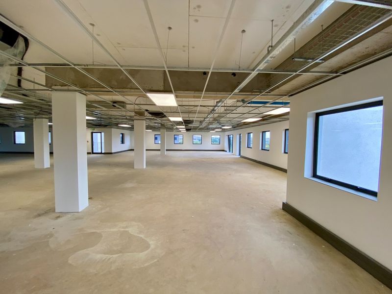 Brand New P-Grade Development - Photo 7