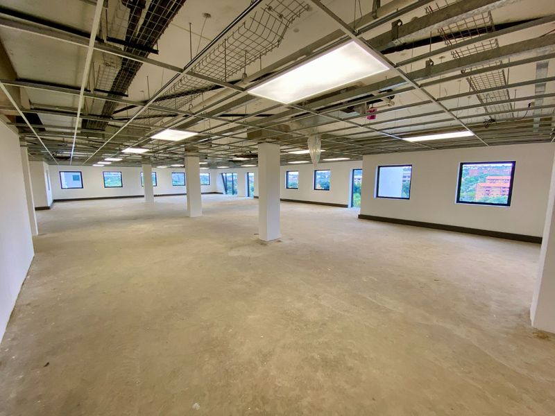 Brand New P-Grade Development - Photo 6