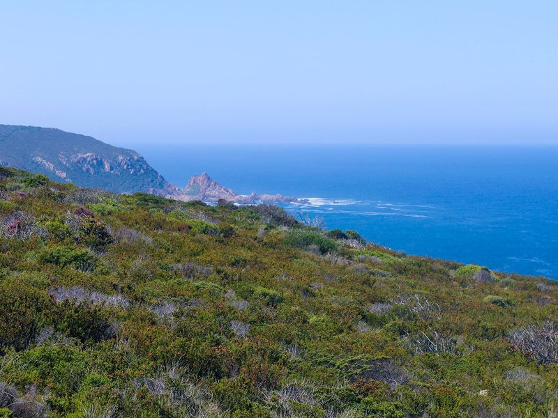 Beyond Rare – this is the Ultimate Coastal Cliff Plot - Photo 2