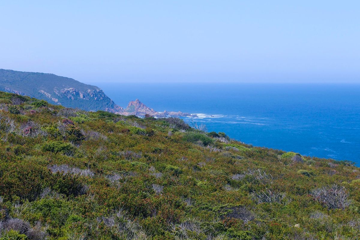 A scenic coastal view overlooking the ocean and rugged landscape, showcasing the natural beauty of the property's surroundings.
