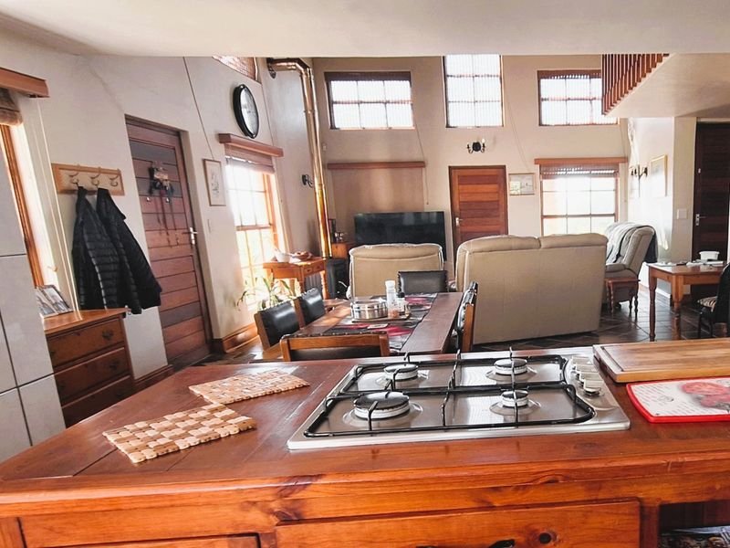 Spacious open-plan living area featuring a kitchen island with a built-in gas hob, timber cabinetry, and high ceilings with abundant natural light.