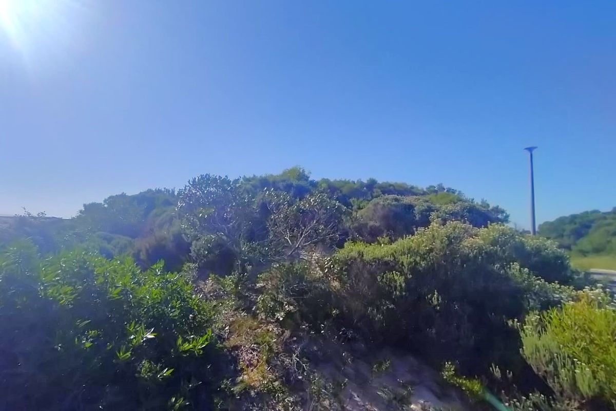 Framed by ocean air - Photo 3