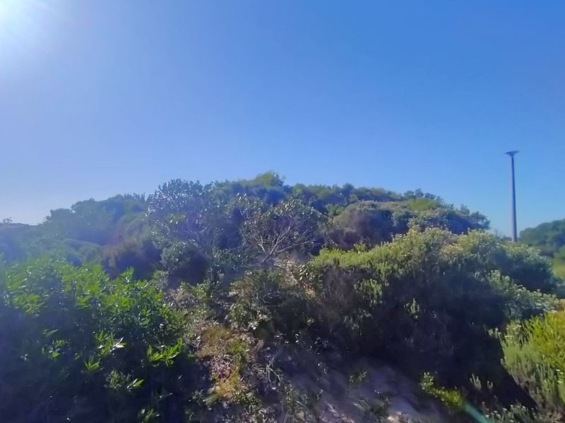 Framed by ocean air - Photo 3