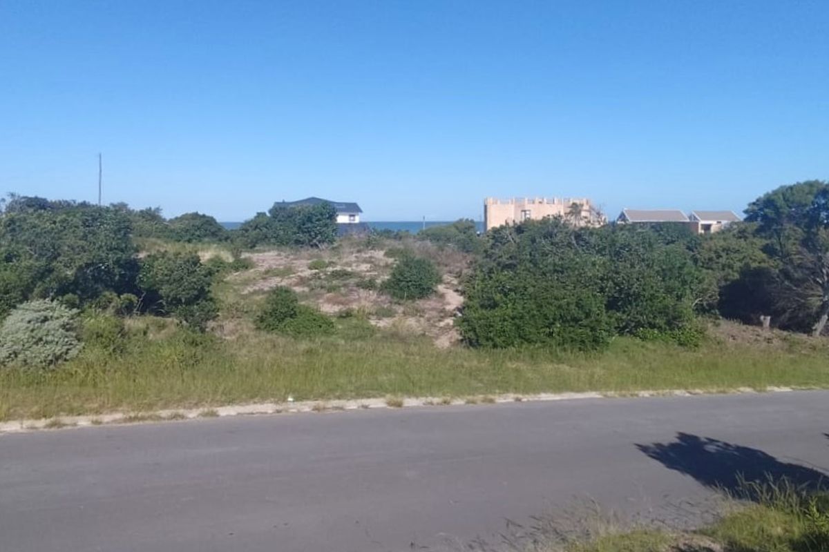 Framed by ocean air - Photo 2