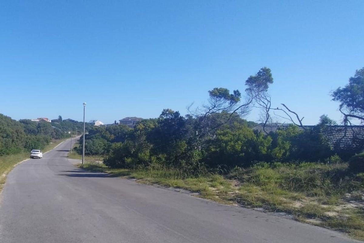 Framed by ocean air - Photo 4