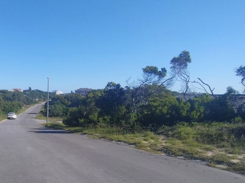 Framed by ocean air - Photo 4