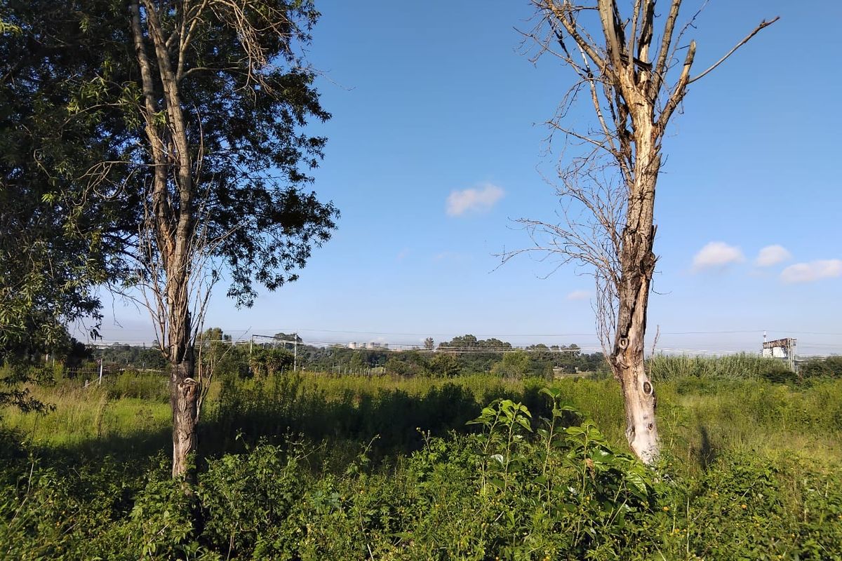 10 000 SQUARE METERS MIXED USE RE-ZONED PROPERTY DEVELOPMENT LAND FOR SALE - Photo 4