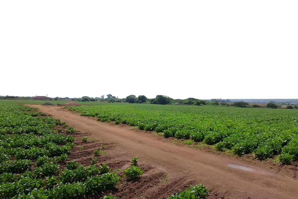 34ha under irrigation in Vastfontein - Photo 2