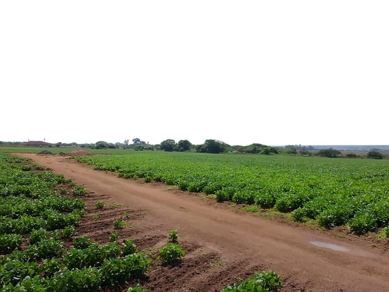 38.9Ha Irrigated Farm in Vastfontein - Photo 2