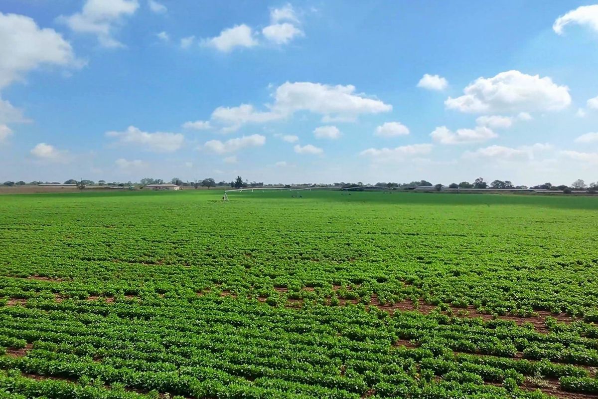 34ha under irrigation in Vastfontein - Photo 3