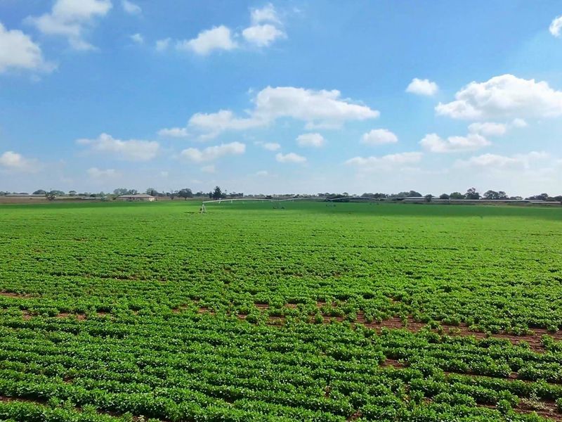 38.9Ha Irrigated Farm in Vastfontein - Photo 3