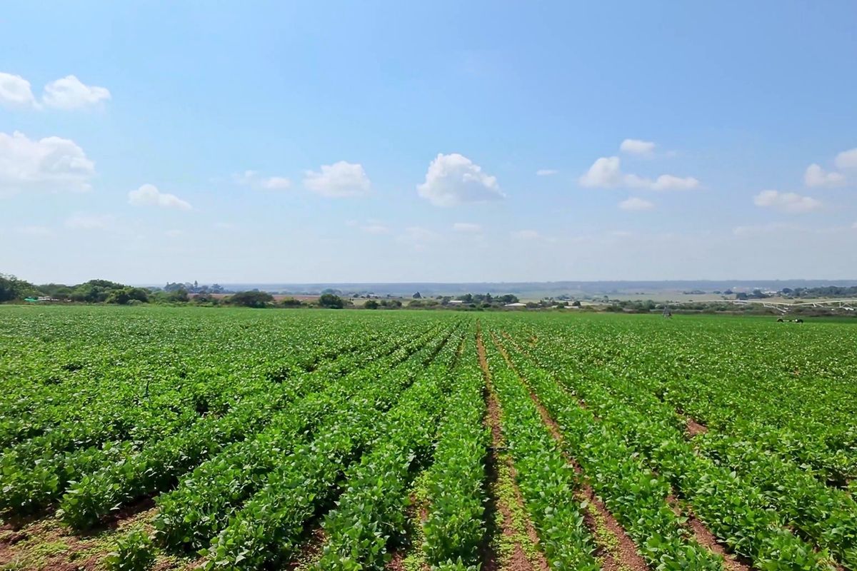 34ha under irrigation in Vastfontein - Photo 5