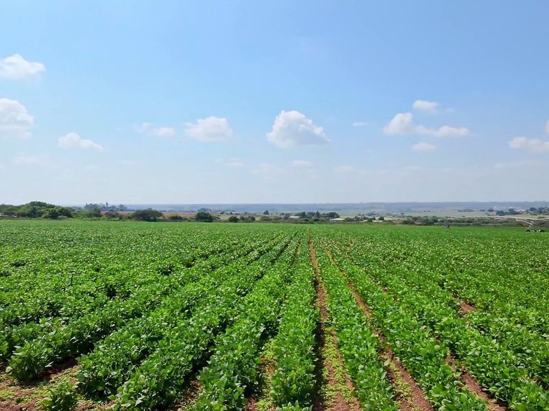 38.9Ha Irrigated Farm in Vastfontein - Photo 5