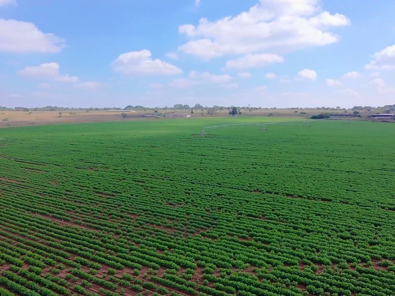 38.9Ha Irrigated Farm in Vastfontein - Photo 10