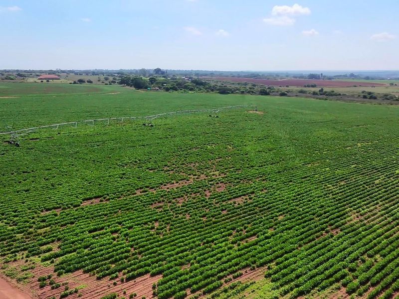 38.9Ha Irrigated Farm in Vastfontein - Photo 8
