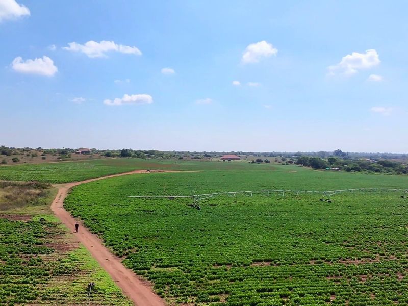 38.9Ha Irrigated Farm in Vastfontein - Photo 7