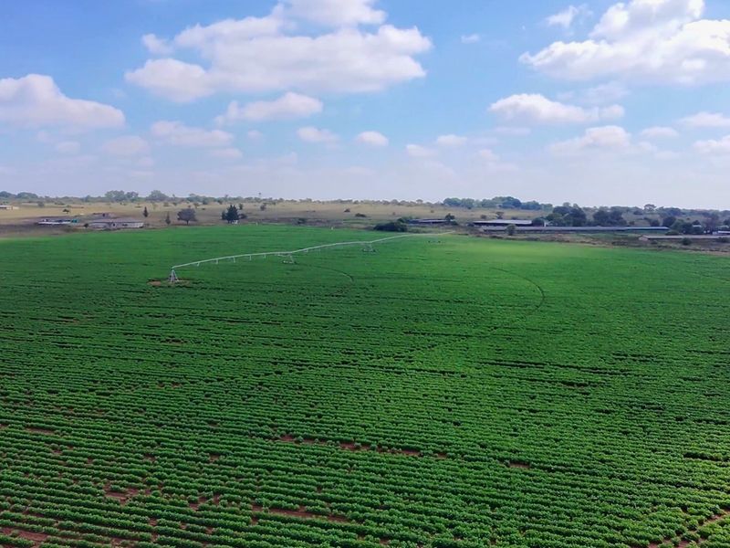 38.9Ha Irrigated Farm in Vastfontein - Photo 6