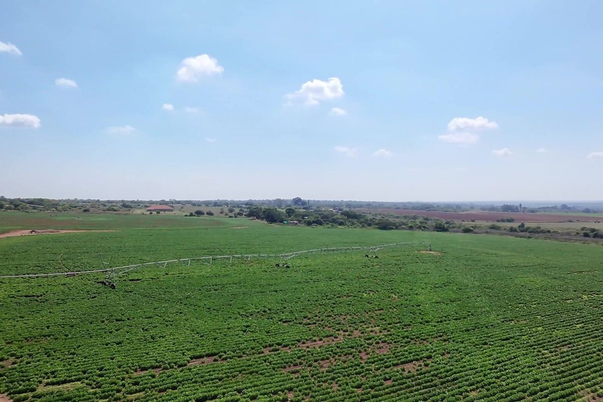 34ha under irrigation in Vastfontein - Photo 4