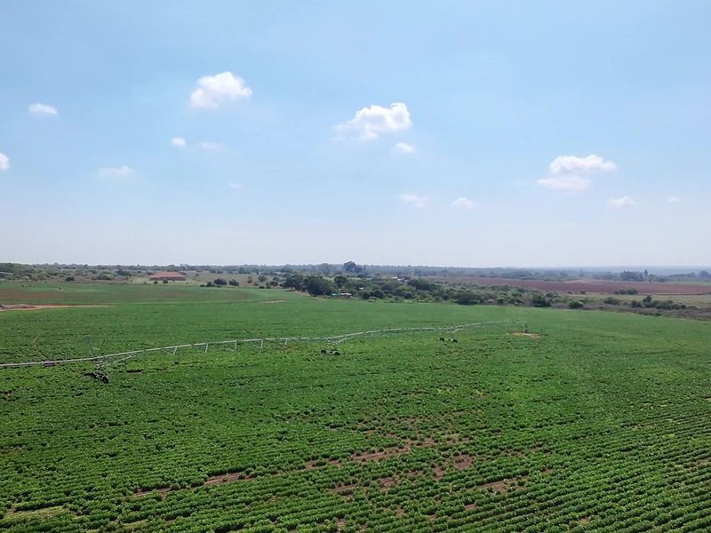 38.9Ha Irrigated Farm in Vastfontein - Photo 4