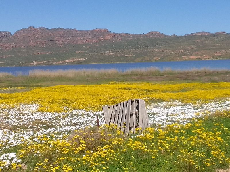 Dreaming of a place with gravel roads, Peace and Tranquility? - Photo 4